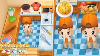 #10 Festival Memasak dan Heart Event | Harvest Moon Friends of Mineral Town Indonesia