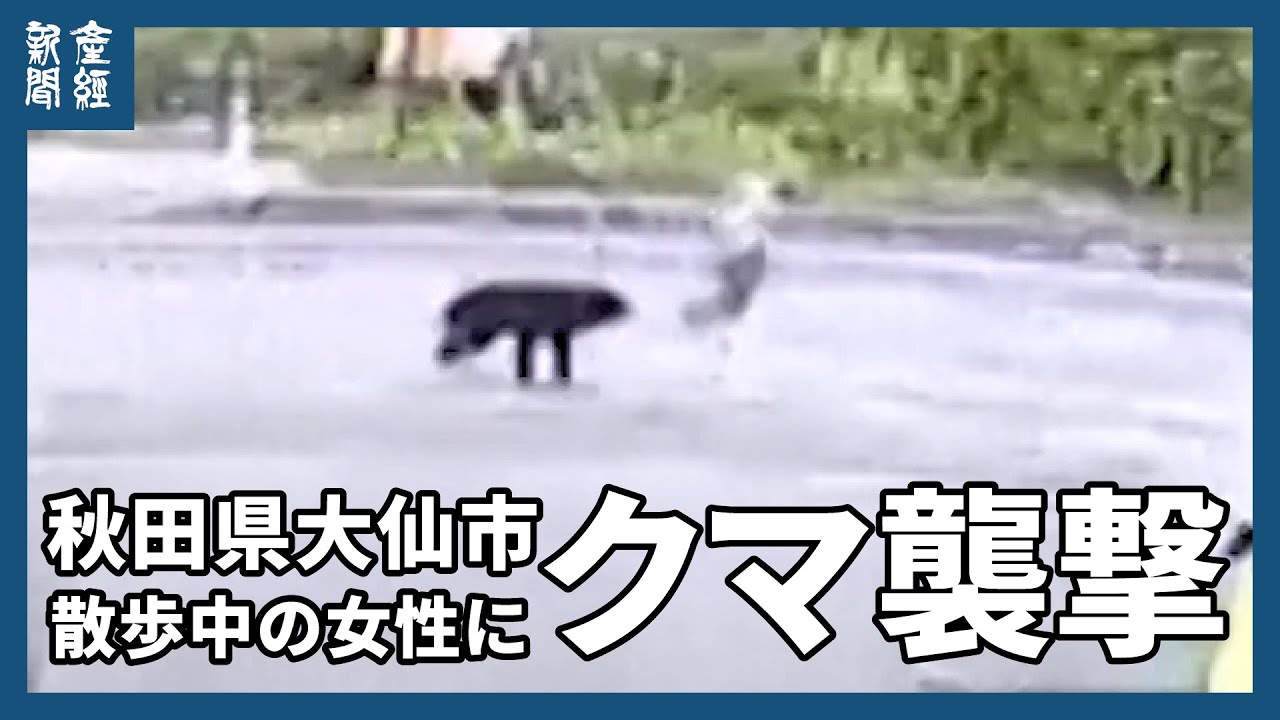 通行人の女性を背後からクマ襲撃、秋田県の住宅街 女性は通りがかりの