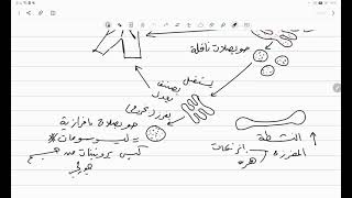 تركيب الخلية (4) | العضيات الغشائية ، الشبكة الإندوبلازمية ، جسم جولچي ، الليسوسوم