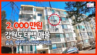 #2218 A quiet and cheap Dongjeom apartment in the forest of Taebaek Mountains with good sunlight