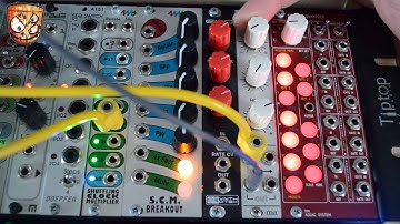 Manhattan Analog - CVP