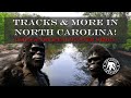 Tracks  more in north carolina   ep200