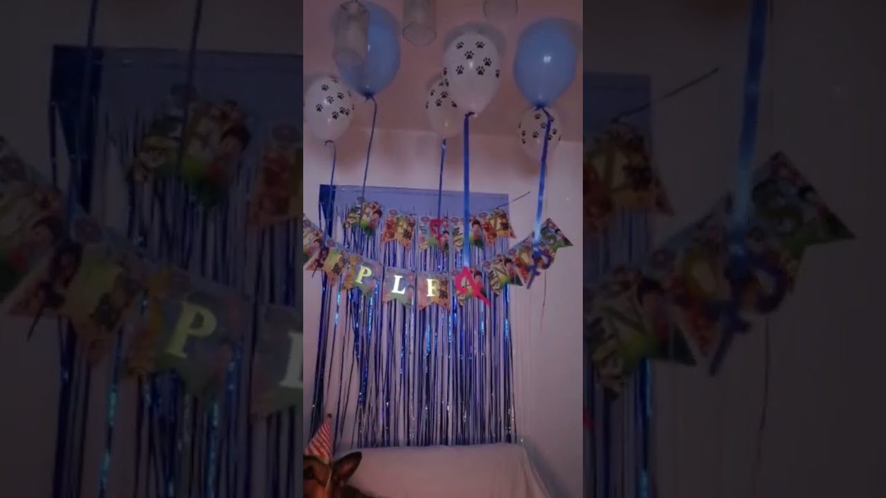 Watch llego su cumpleaños de Hachi on YouTube Watch llego su cumpleaños de Hachi on YouTube