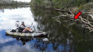 This Tiny River has Fish Everywhere!?!