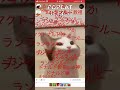 POPCATでM.C.ドナルドはダンスに夢中なのか #popcat #cat #popcatclick #バズれ #マクドナルド#ドナルド