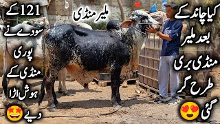 Malir Mandi Karachi Cattle Latest Rates & Soday 19 May 2026 | 121K Soda 🤩 | Bakra Eid Season 2026