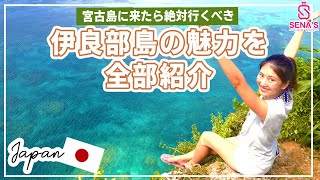 【宮古島観光で外せない】海も景色もグルメも揃う伊良部島を紹介