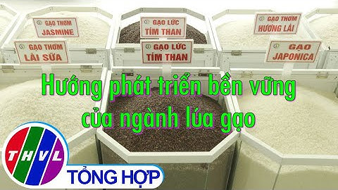 Nông nghiệp bền vững: Hướng phát triển bền vững của ngành lúa gạo
