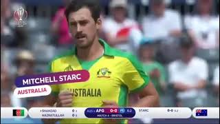 Mitchell Starck Yorker