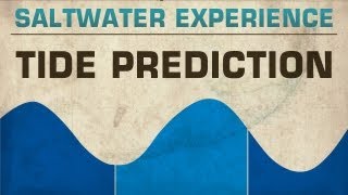 FLATS FISHING TIPS: Predicting the Tides