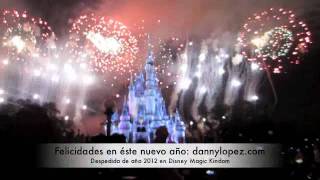 Despedida De Año 2012 En Disney Magic Kingdom