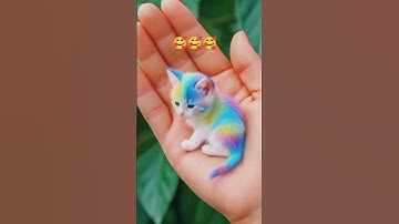 Thumbnail of Cut cat #song #music #funnycatsanddogsnew2023
