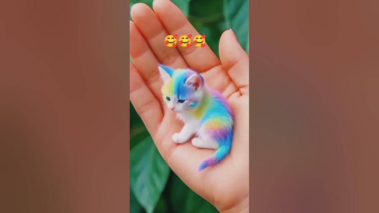 Cut cat #song #music #funnycatsanddogsnew2023