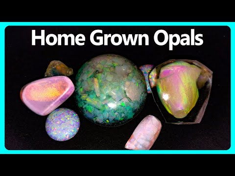 Can you GROW an Opal?