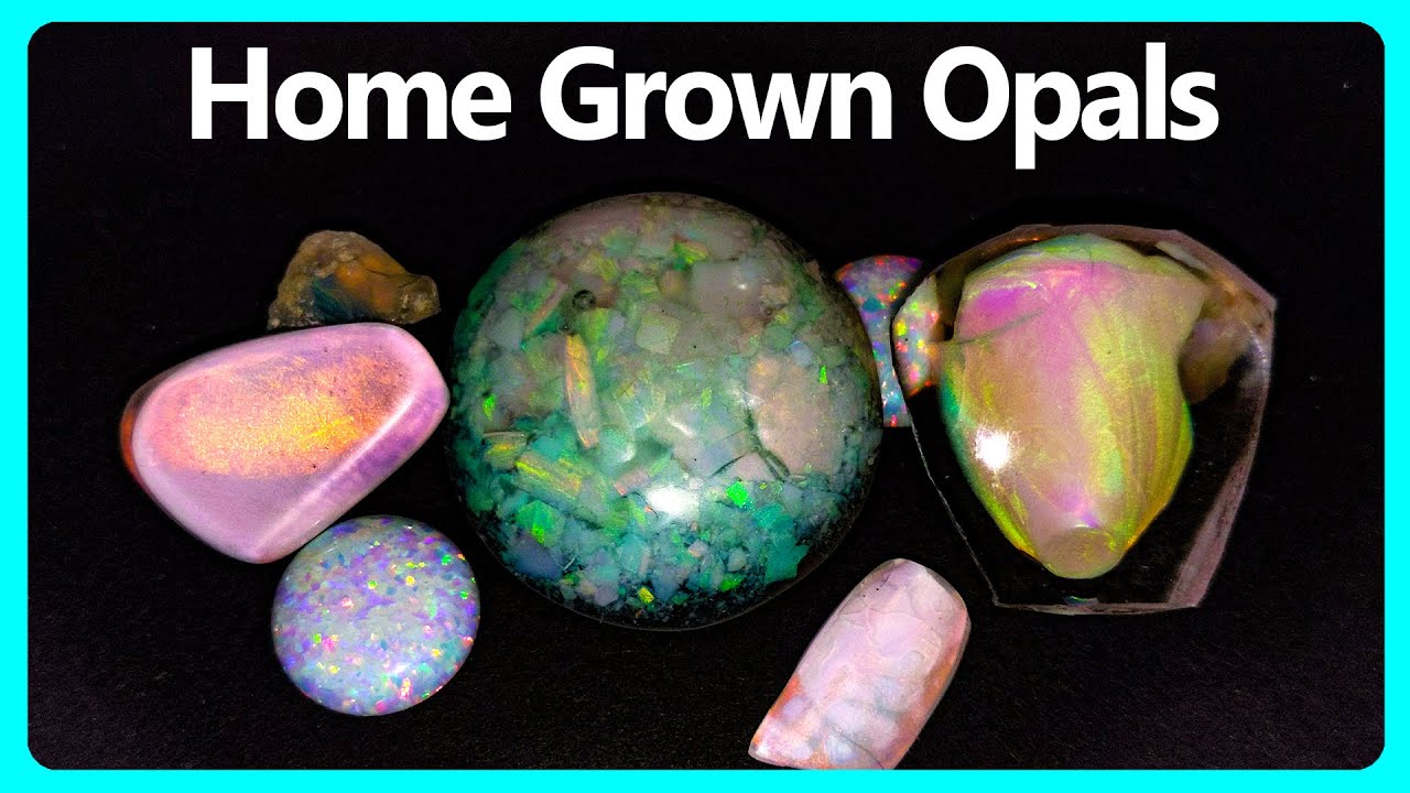Can You Grow An Opal Youtube