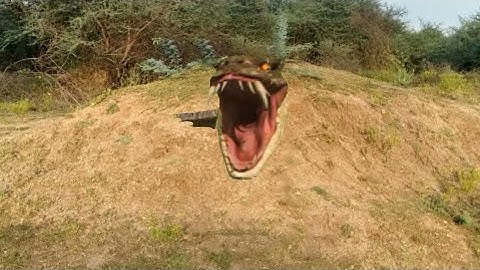 Snake attack||Kinemaster tutorial telugu how