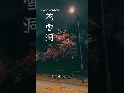 Beautiful Japanese words