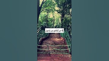 قُلۡ إِنۡ أَدۡرِيٓ أَقَرِيبٞ مَّا تُوعَدُونَ أَمۡ يَجۡعَلُ لَهُۥ رَبِّيٓ أَمَدًا ❤️#سورة_الجن