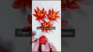 Download Lagu bunga teratai dari buah tomat hasilnya luar biasa bagus MP3