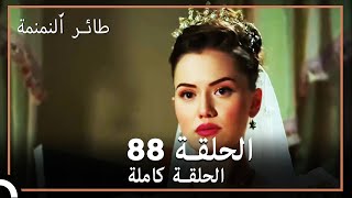 88 ائر النمنمة | الحلقة