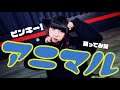 【ネコ耳】アニマル踊ってみた【ピンキー】