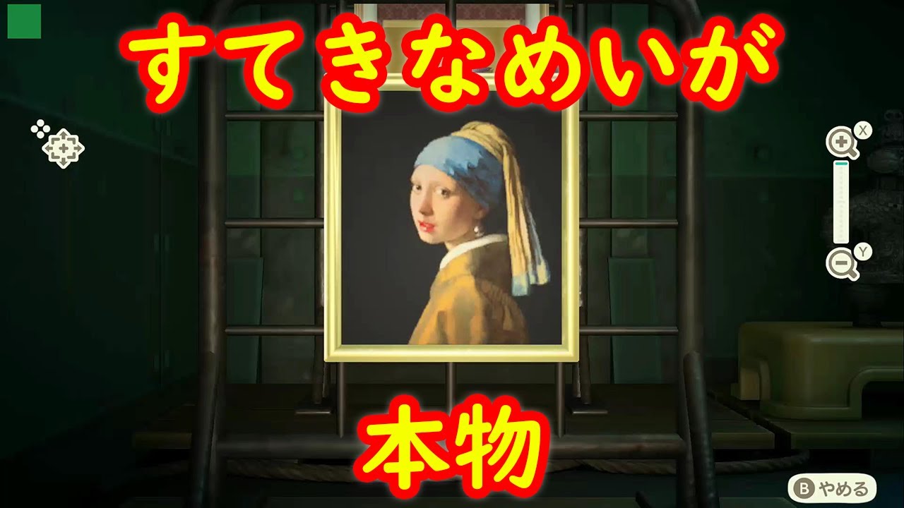 つね 本物 森 あつまれ きち どうぶつ の