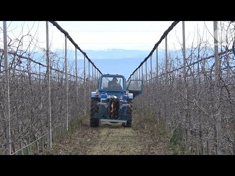ყინვის საწინააღმდეგო დანადგარი შიდა ქართლში