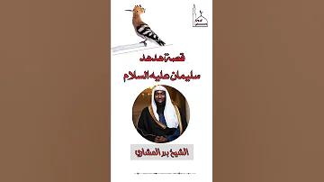 قصة هدهد سيدنا سليمان عليه السلام الإعجاز العلمي العجيب في هذه القصة الشيخ بدر المشاري 