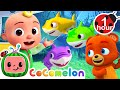 Baby shark  rainbow version fantasy animals  cocomelon  animal time  nursery rhymes for babies