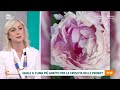 Le peonie: come curarle? - Unomattina 28/05/2024