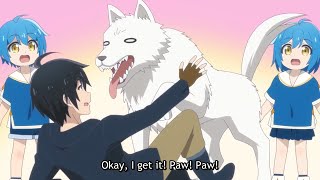 Isekai Yururi Kikō/Journey Through Another World- Praise for Paws