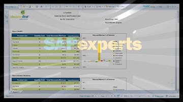 SAP BusinessObjects Web Intelligence Corporate Template Demo