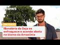 Exportadores de soja deixam moratória e ambientalistas alertam para produção desenfreada | Em Ponto