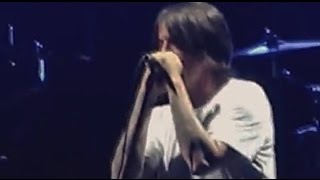 Red Hot Chili Peppers - Otherside (Live, Puerto Rico 2014) MULTICAM