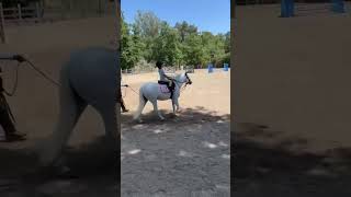 Marshmallow lead line - for lease!