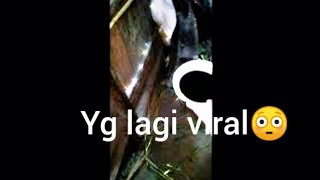 Ini akibatnya kambing minum kopi#viral#