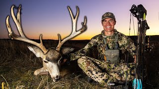 Spot & Stalk Mule Deer BOWHUNT