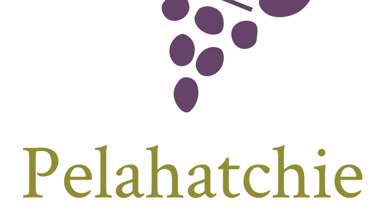 Pelahatchie Baptist Church Live Stream YouTube