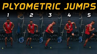 5 Plyometric Jump Exercises For Beginners | No equipment needed