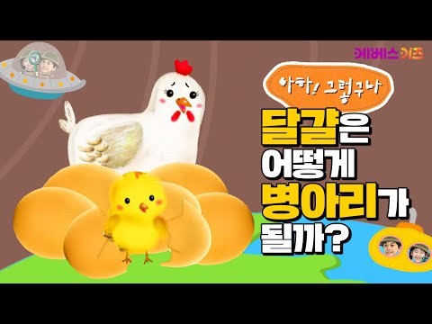 달걀은 어떻게 병아리가 될까?ㅣ닭이 먼저? 달걀이 먼저?ㅣ아하! 그렇구나ㅣKBS 방송