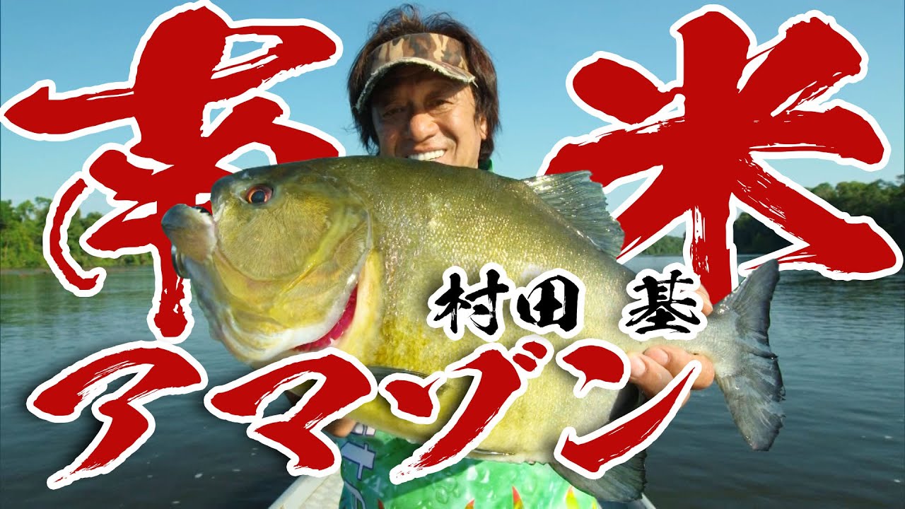 村田基が南米アマゾンで大暴れ！ここでしか見ることができない魚を釣りまくる！ 『魚種格闘技戦！178』【釣りビジョン】