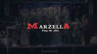 New Marzella Arjun Bersama Lfas Rental Sound System