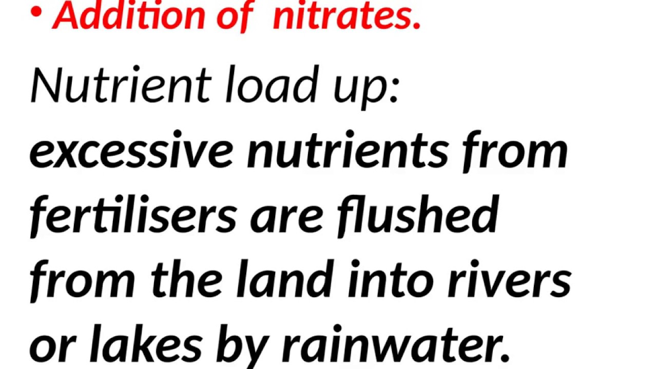 Eutrophication Process In Six Stages - Explaining The Process of Occurence of Eutrophication