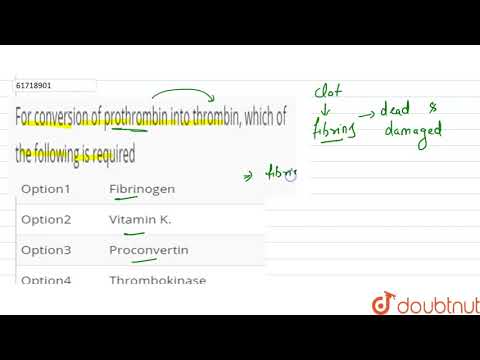 ভিডিও: প্রথ্রম্বিন কখন থ্রম্বিনে রূপান্তরিত হয়?