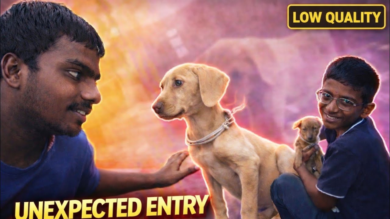 This dog deserve more care 😫😭 