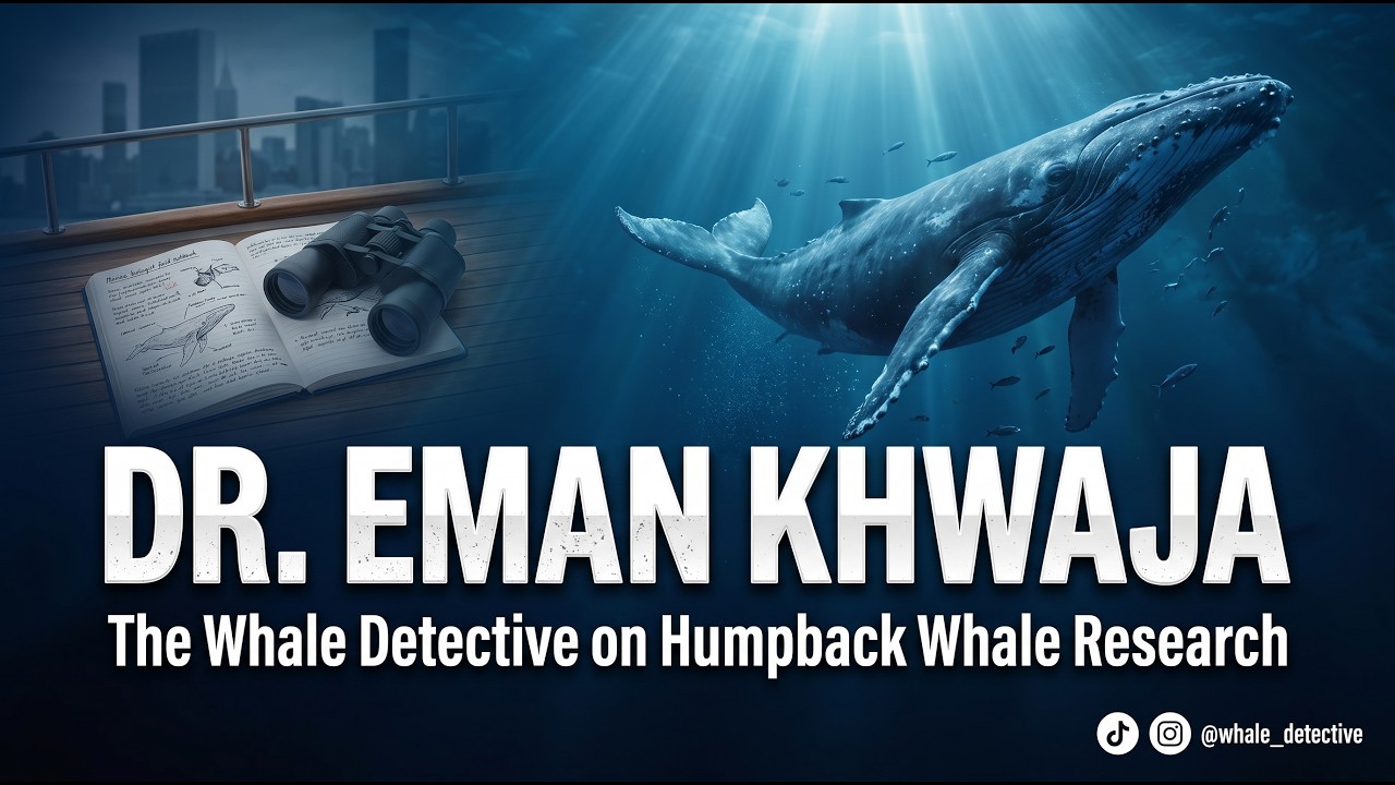Marine Mammal Scientist Spotlight: Meet TikTok's "Whale Detective"