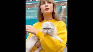 This Cat's Net Worth Will SHOCK You #CelebrityAnimals #shorts Details