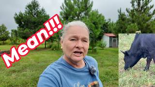 He Was So Mean to Me || Big Changes on the Farm