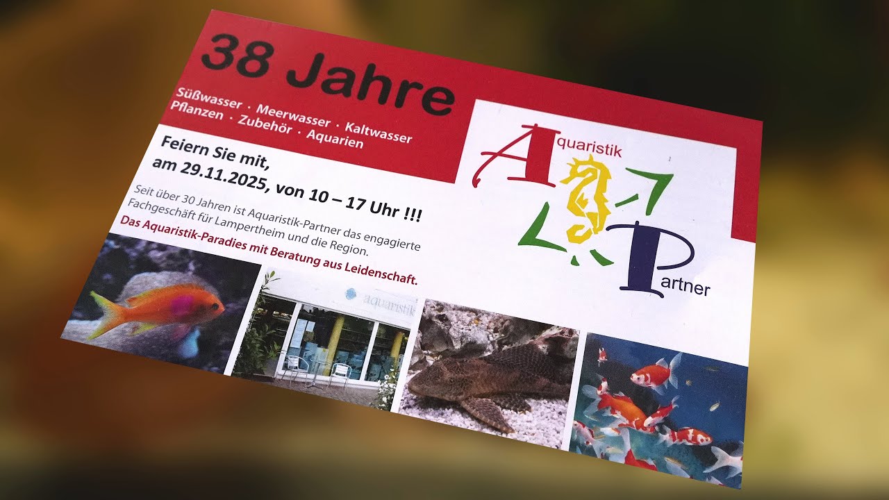 38 Jahre Aquaristik Fachgeschäft mit Tradition und Sachkompetenz | Es wird gefeiert und geredet!