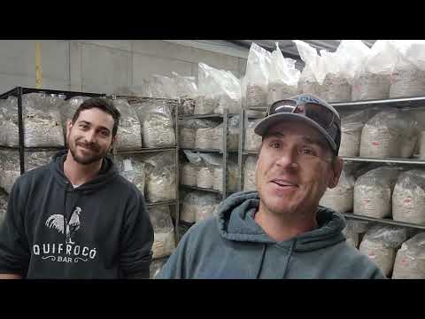 Earth Angel Mushrooms- New Folks at the Farm